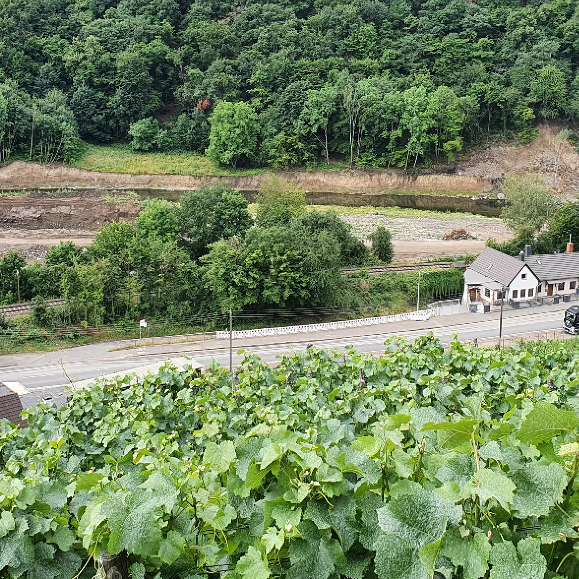 Deutsches Weininstitut Weinanbaugebiete