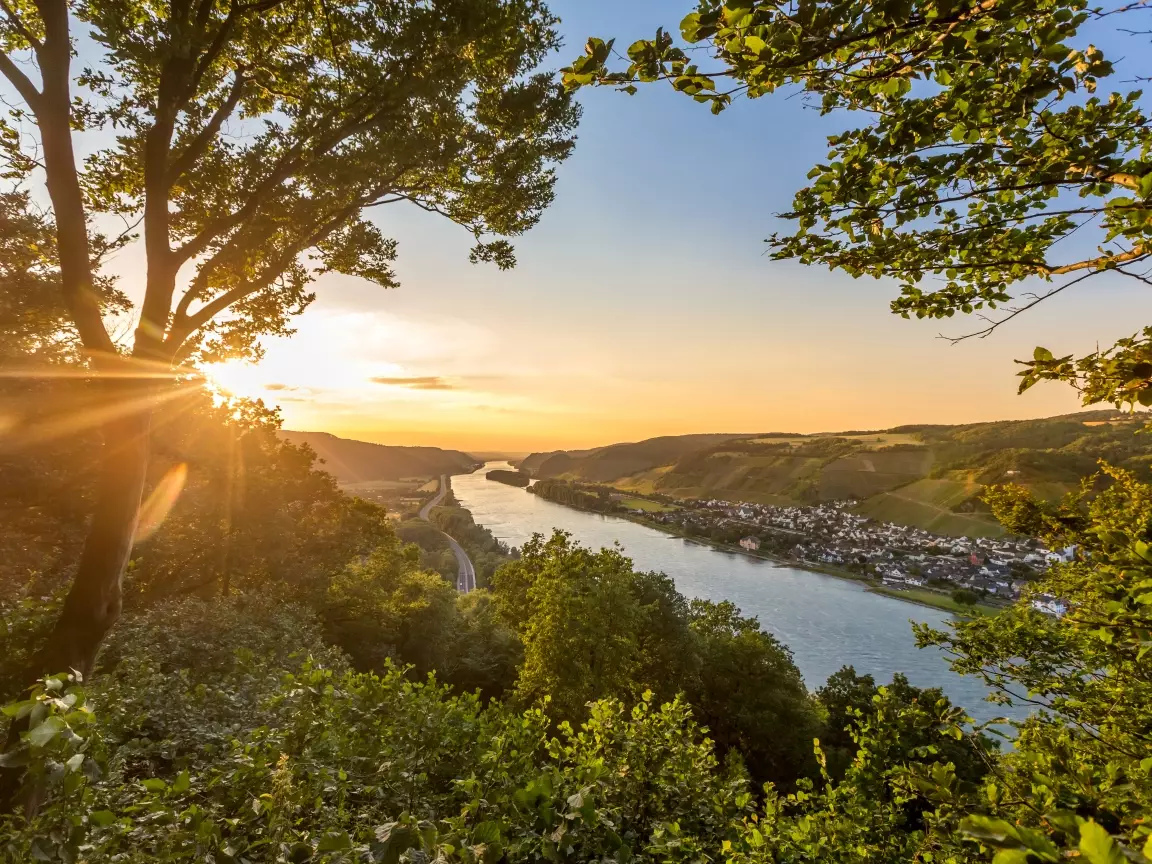 Deutsches Weininstitut Weinanbaugebiete