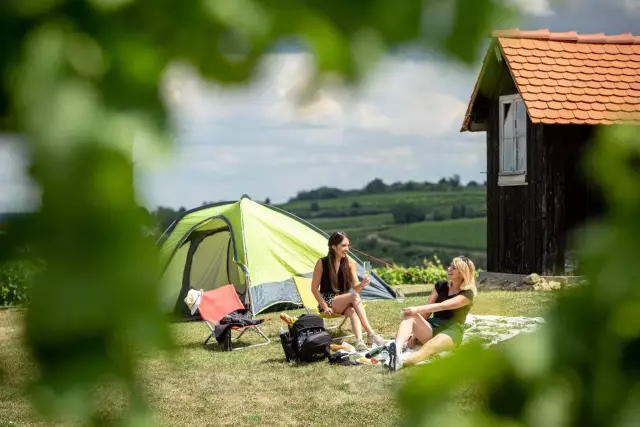 Zahlreiche Camping- und Stellplätze in romantischen Weindörfern, direkt beim Winzer oder inmitten idyllischer Weinberge warten auf Urlauber mit Wohnwagen, Wohnmobil oder Zelt.