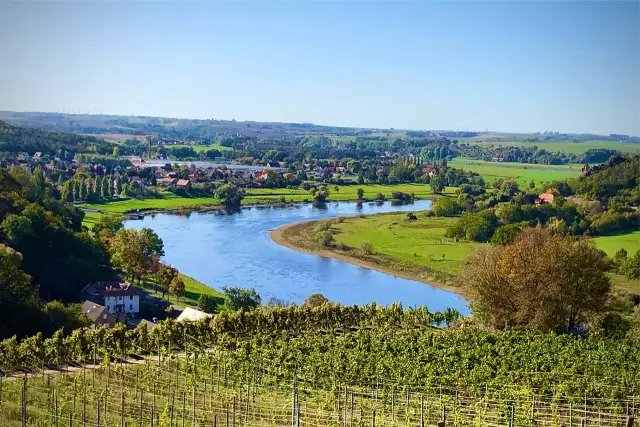 Weinregion Sachsen.