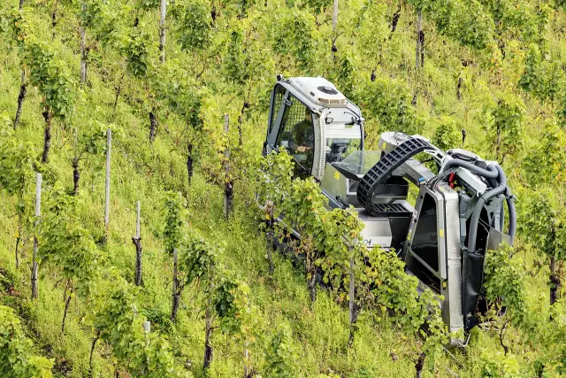 Steep slope harvest machine, Mosel, Germany. October 2017.