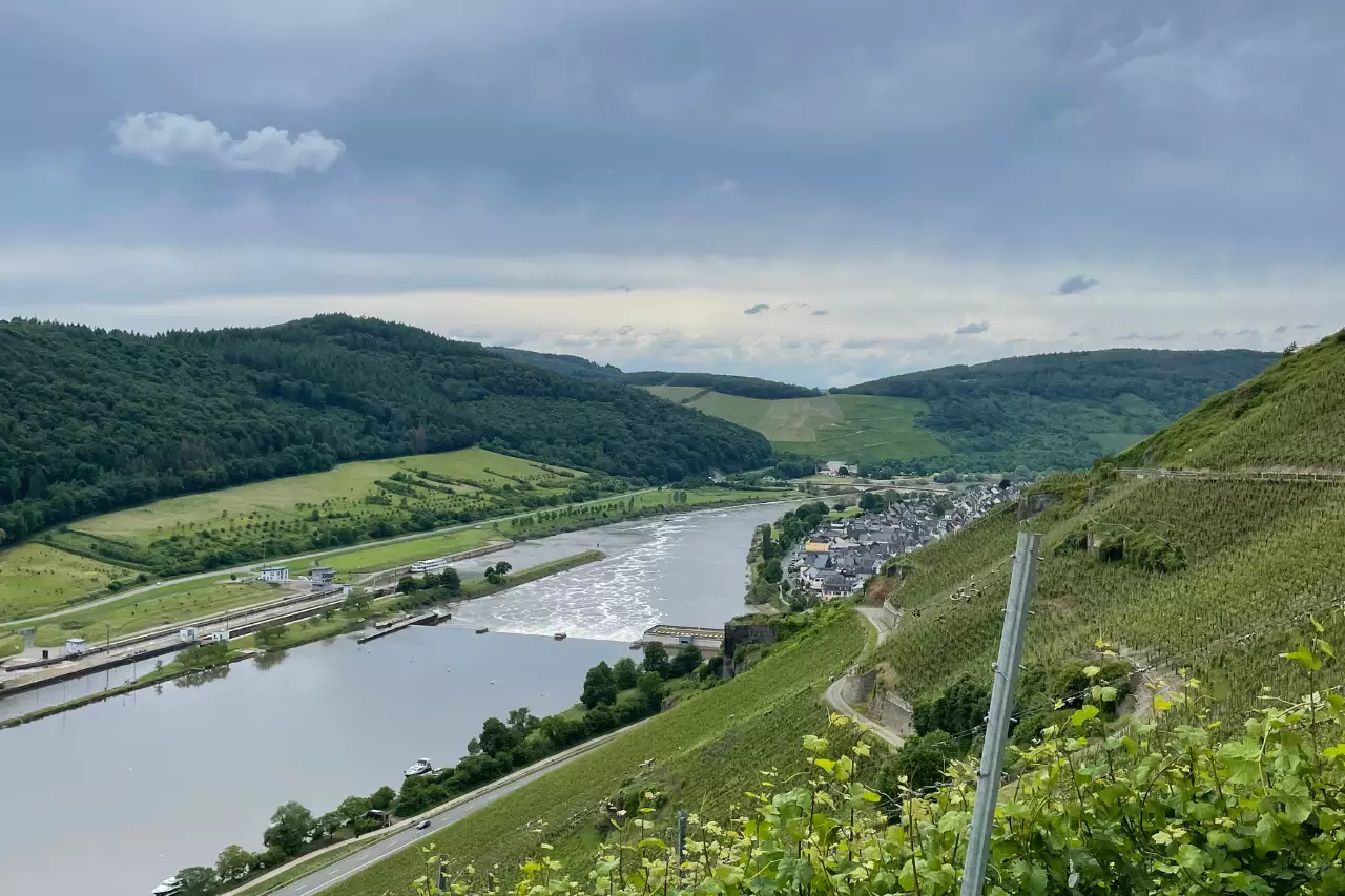 Anlässlich des Events Mythos Mosel besuchten sie drei Weingüter entlang des zweitlängsten Nebenflusses des Rheins.
